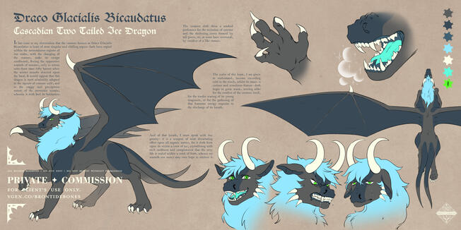 Reference Sheet Commission for "N" A dragon character reference sheet in an aged style. Text provided by client.